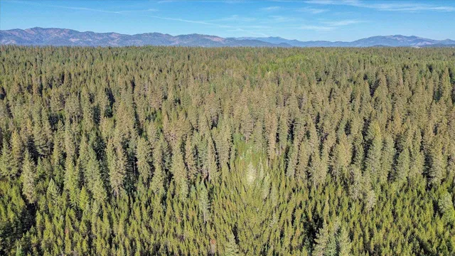 $175,000 | Nkn Bear Tooth Road, Newport, WA 99156