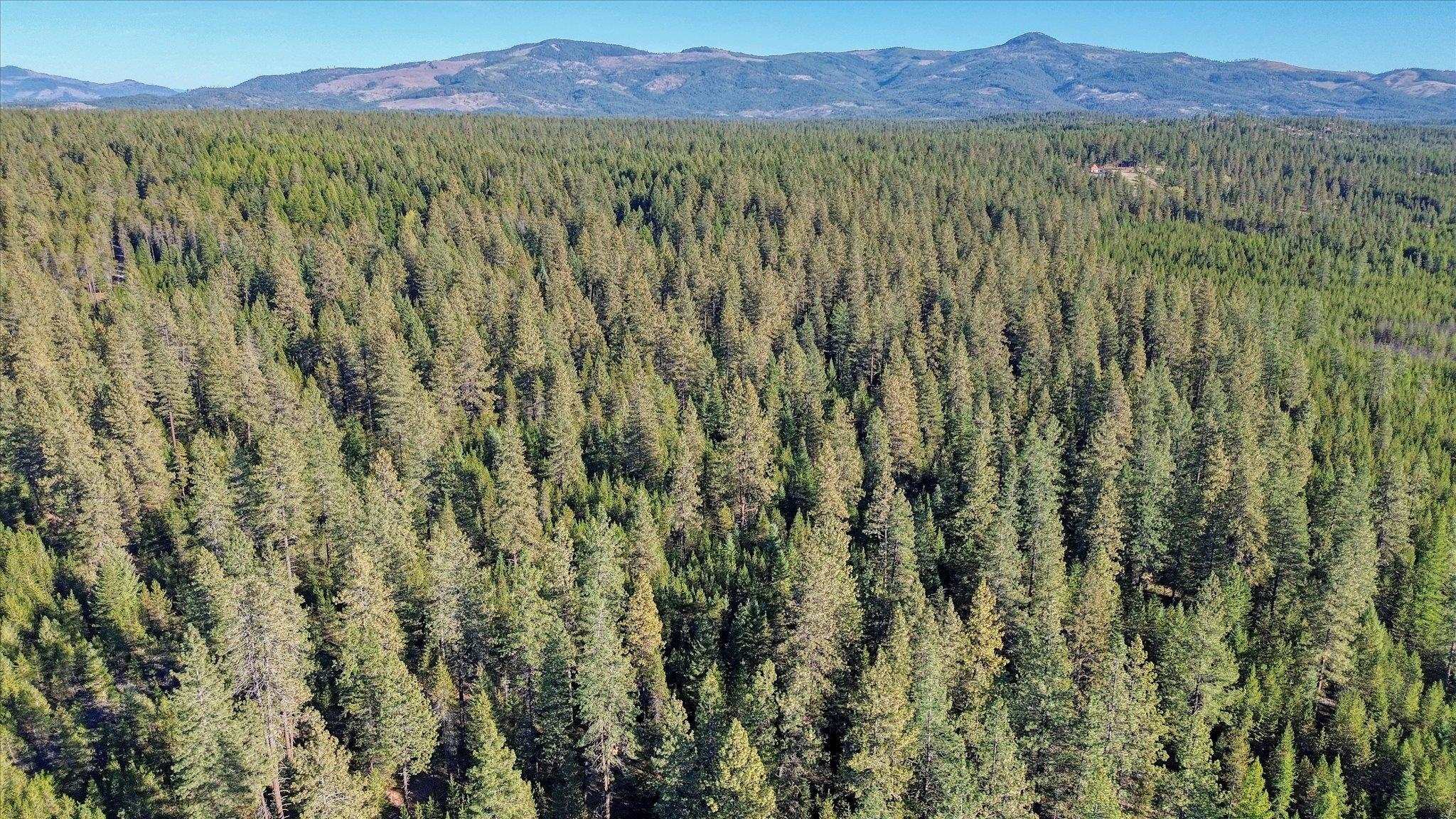 Nkn Bear Tooth Road Newport, WA 99156 - Photo 20 of 31