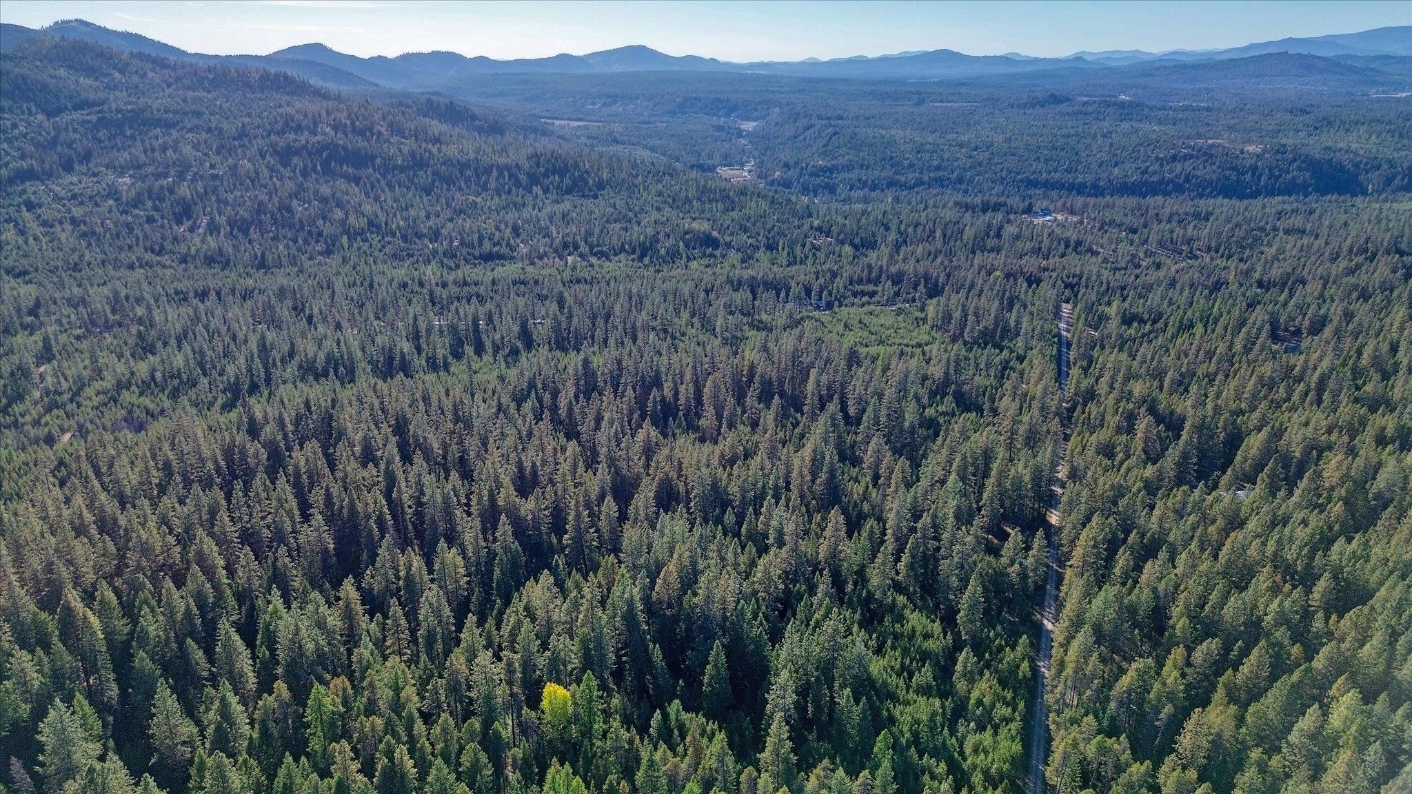 Nkn Bear Tooth Road Newport, WA 99156 - Photo 21 of 31