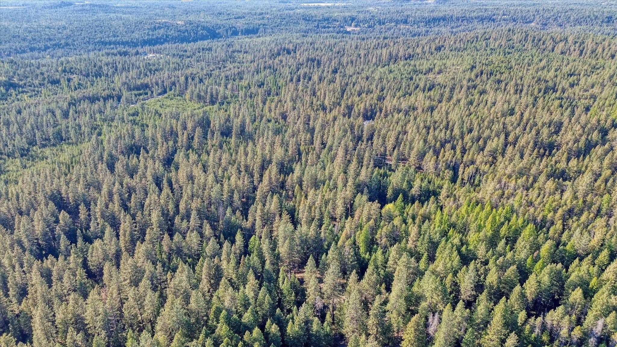 Nkn Bear Tooth Road Newport, WA 99156 - Photo 22 of 31