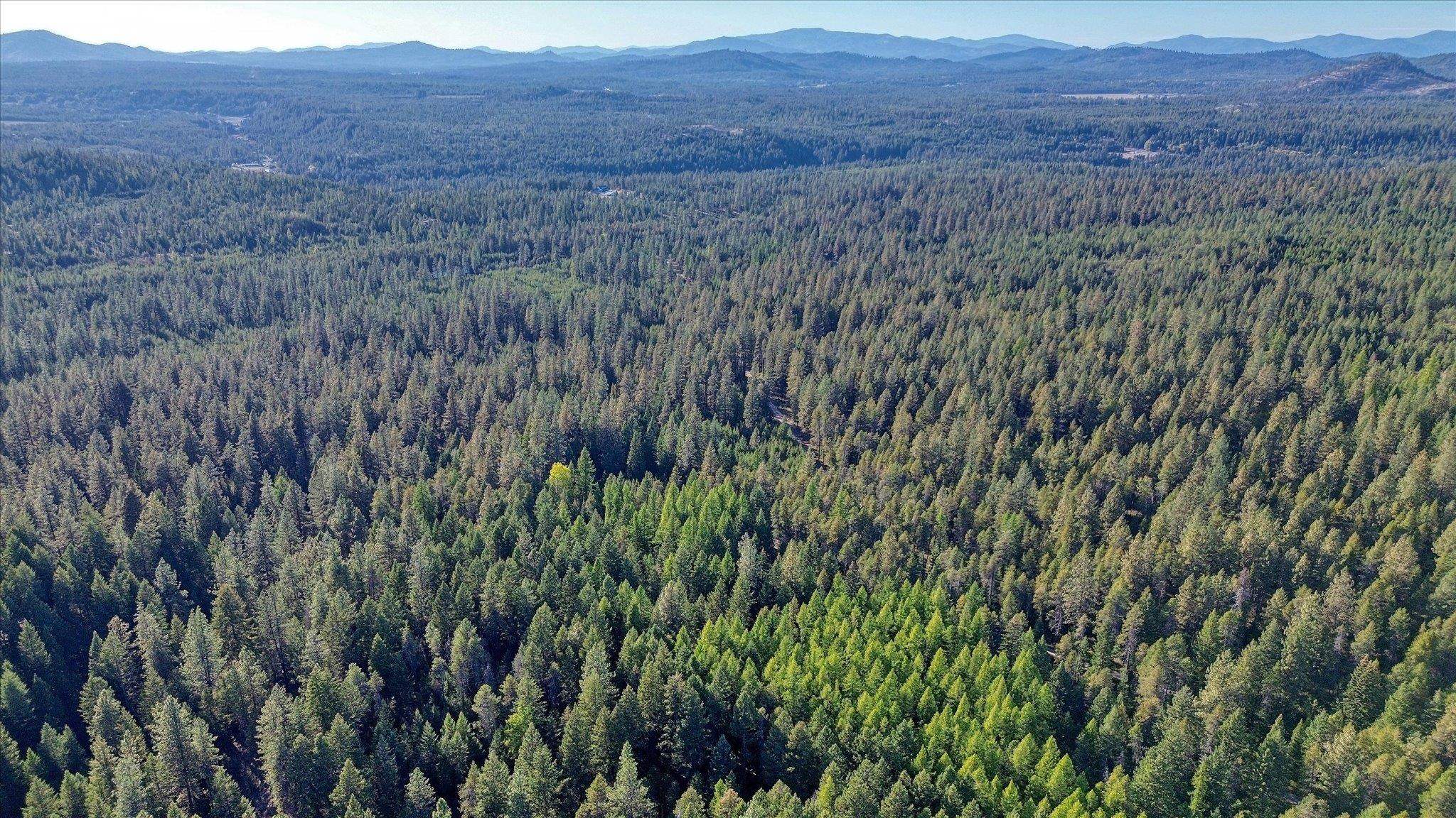 Nkn Bear Tooth Road Newport, WA 99156 - Photo 23 of 31