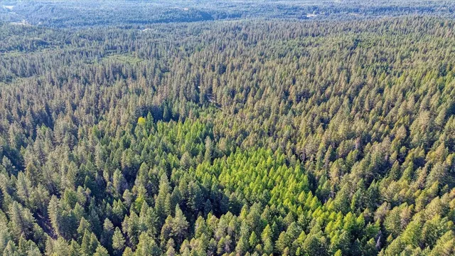 $175,000 | Nkn Bear Tooth Road, Newport, WA 99156