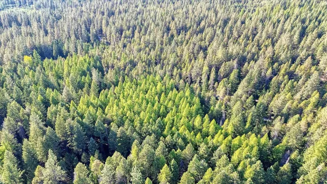 $175,000 | Nkn Bear Tooth Road, Newport, WA 99156