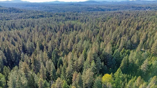 $175,000 | Nkn Bear Tooth Road, Newport, WA 99156