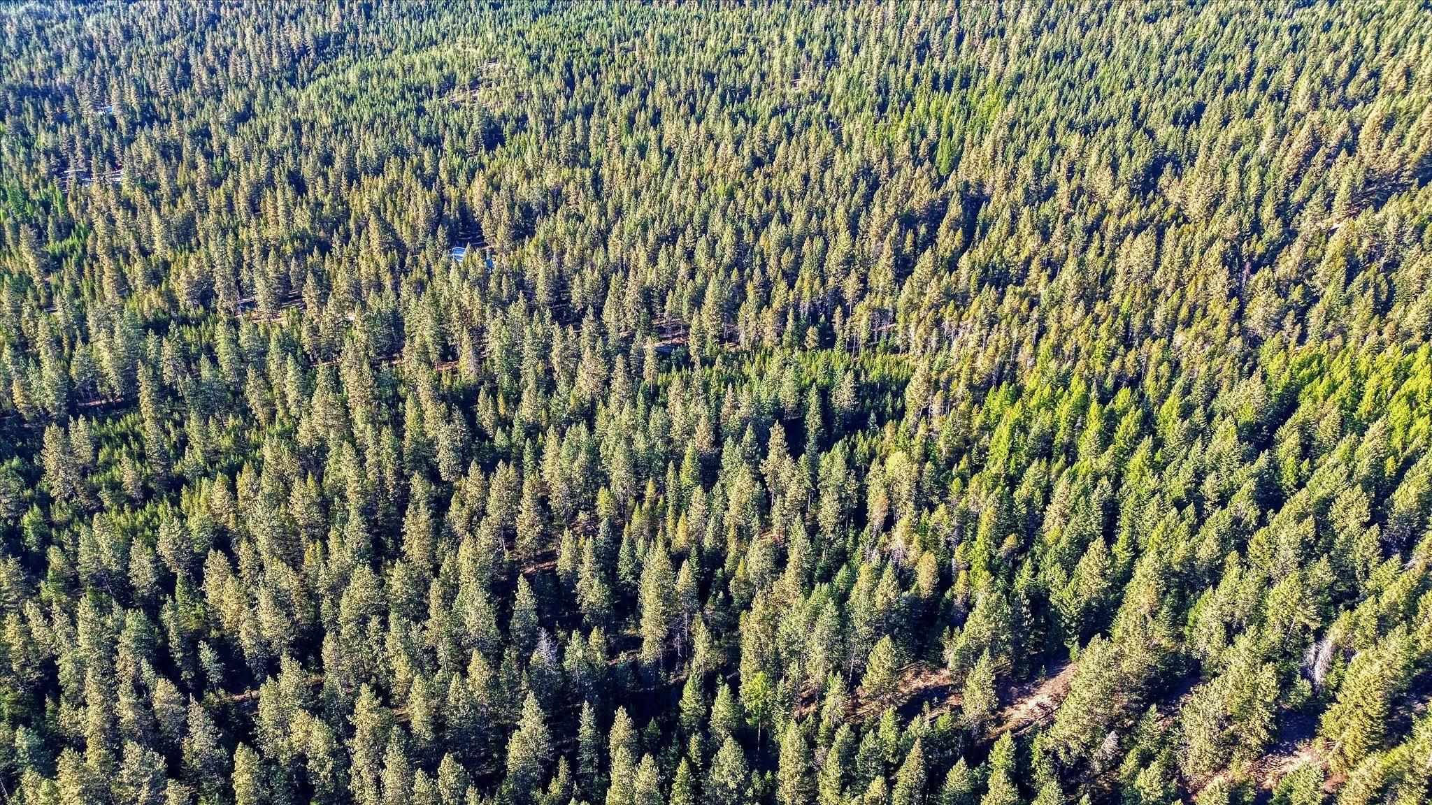 Nkn Bear Tooth Road Newport, WA 99156 - Photo 28 of 31