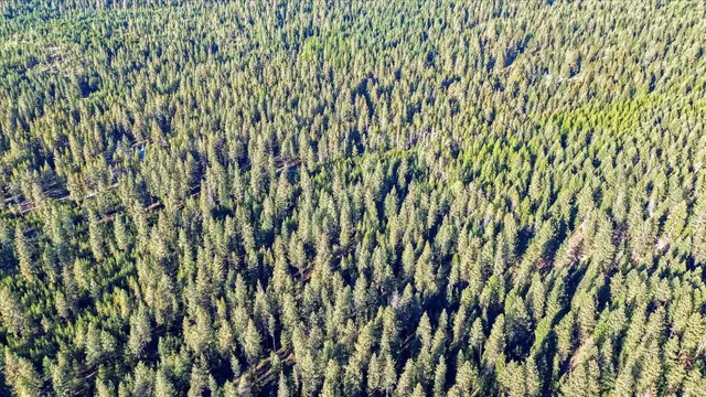 $175,000 | Nkn Bear Tooth Road, Newport, WA 99156