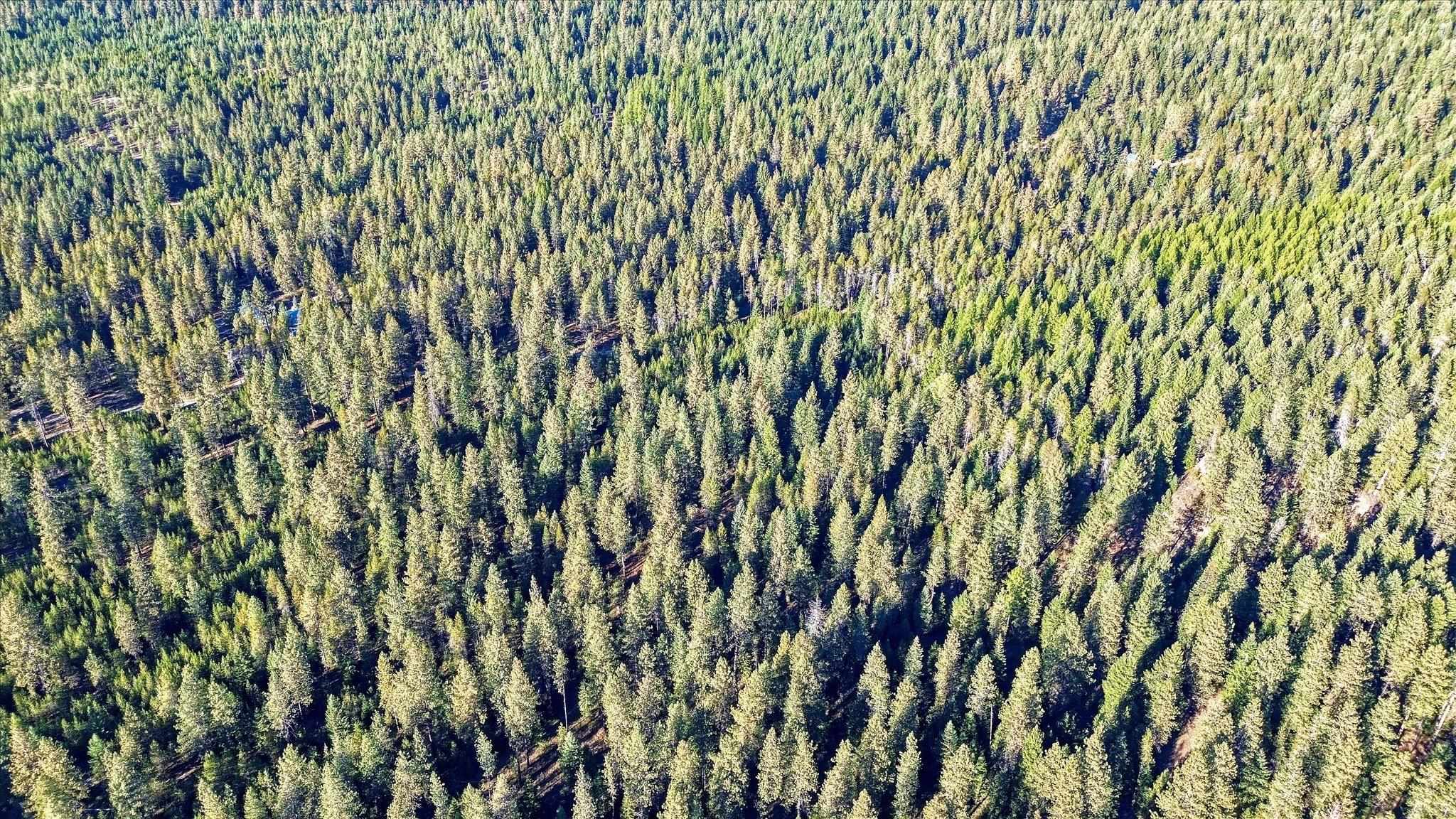 Nkn Bear Tooth Road Newport, WA 99156 - Photo 29 of 31