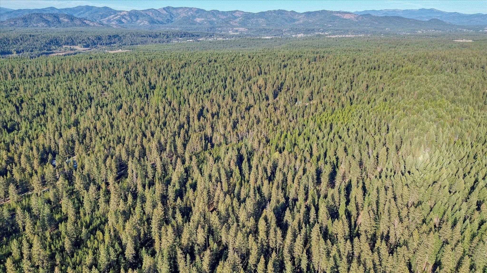 Nkn Bear Tooth Road Newport, WA 99156 - Photo 30 of 31