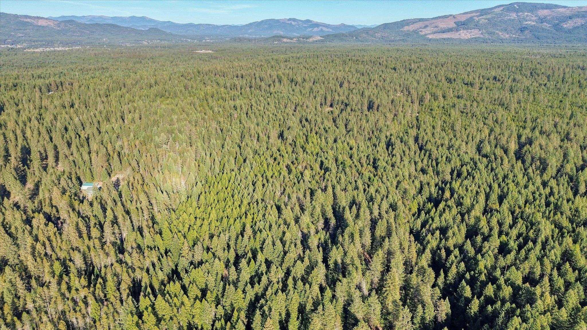 Nkn Bear Tooth Road Newport, WA 99156 - Photo 31 of 31