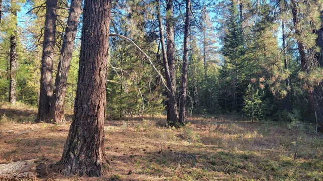 $175,000 | Nkn Bear Tooth Road, Newport, WA 99156