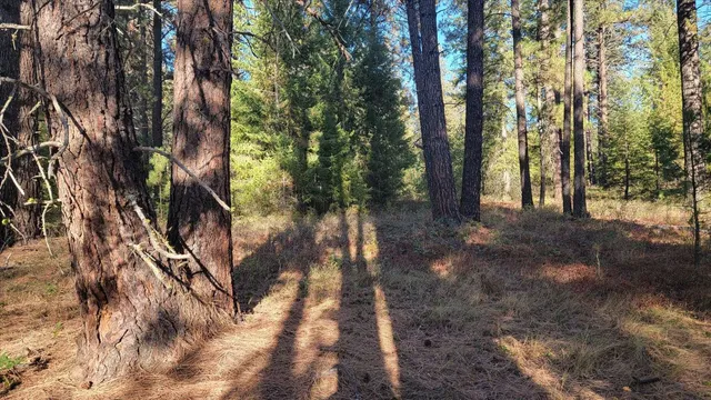 $175,000 | Nkn Bear Tooth Road, Newport, WA 99156