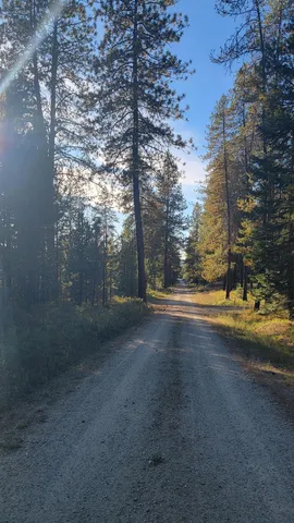 $175,000 | Nkn Bear Tooth Road, Newport, WA 99156