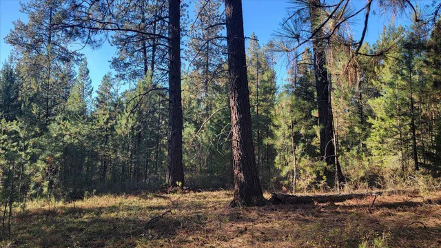 $175,000 | Nkn Bear Tooth Road, Newport, WA 99156