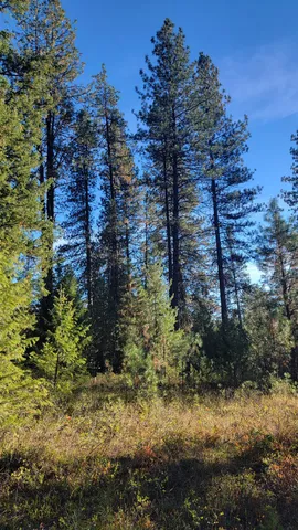 $175,000 | Nkn Bear Tooth Road, Newport, WA 99156