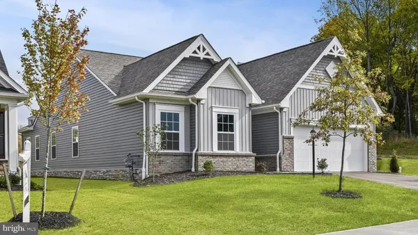a view of a house with a yard potted plants and a large tree