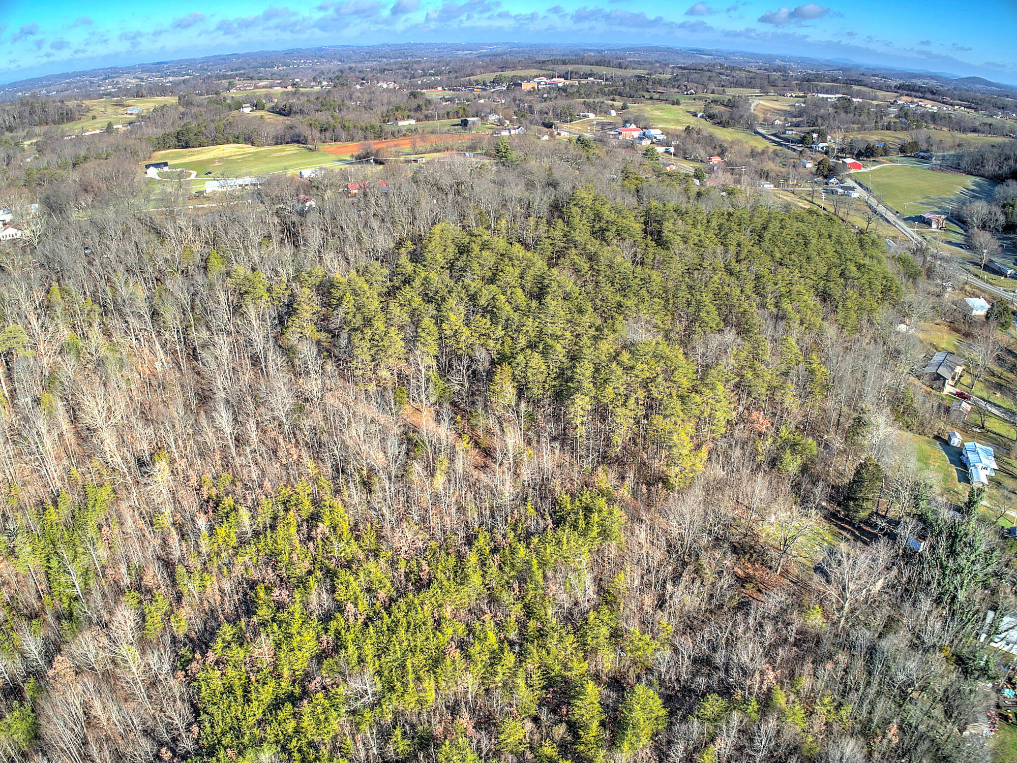 140 Buckboard Road Greeneville, TN 37743 - Photo 15 of 31 140 Buckboard Rd-13