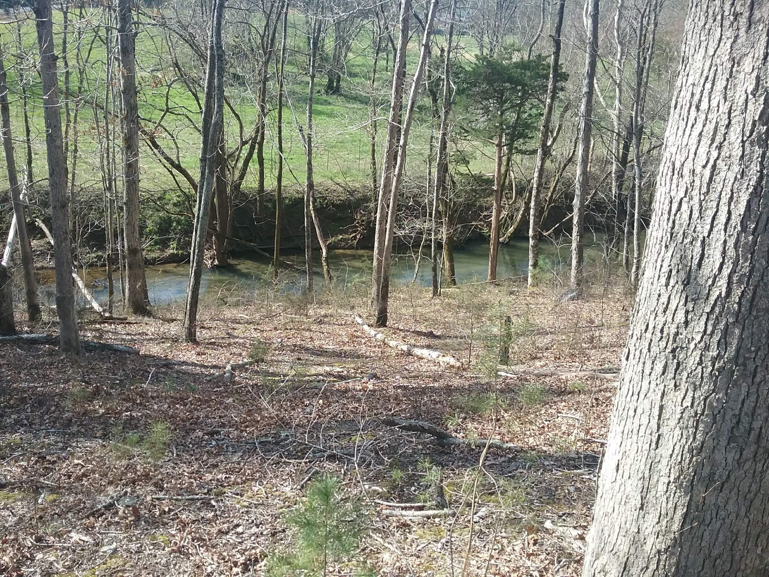 140 Buckboard Road Greeneville, TN 37743 - Photo 29 of 31 IMG-0527