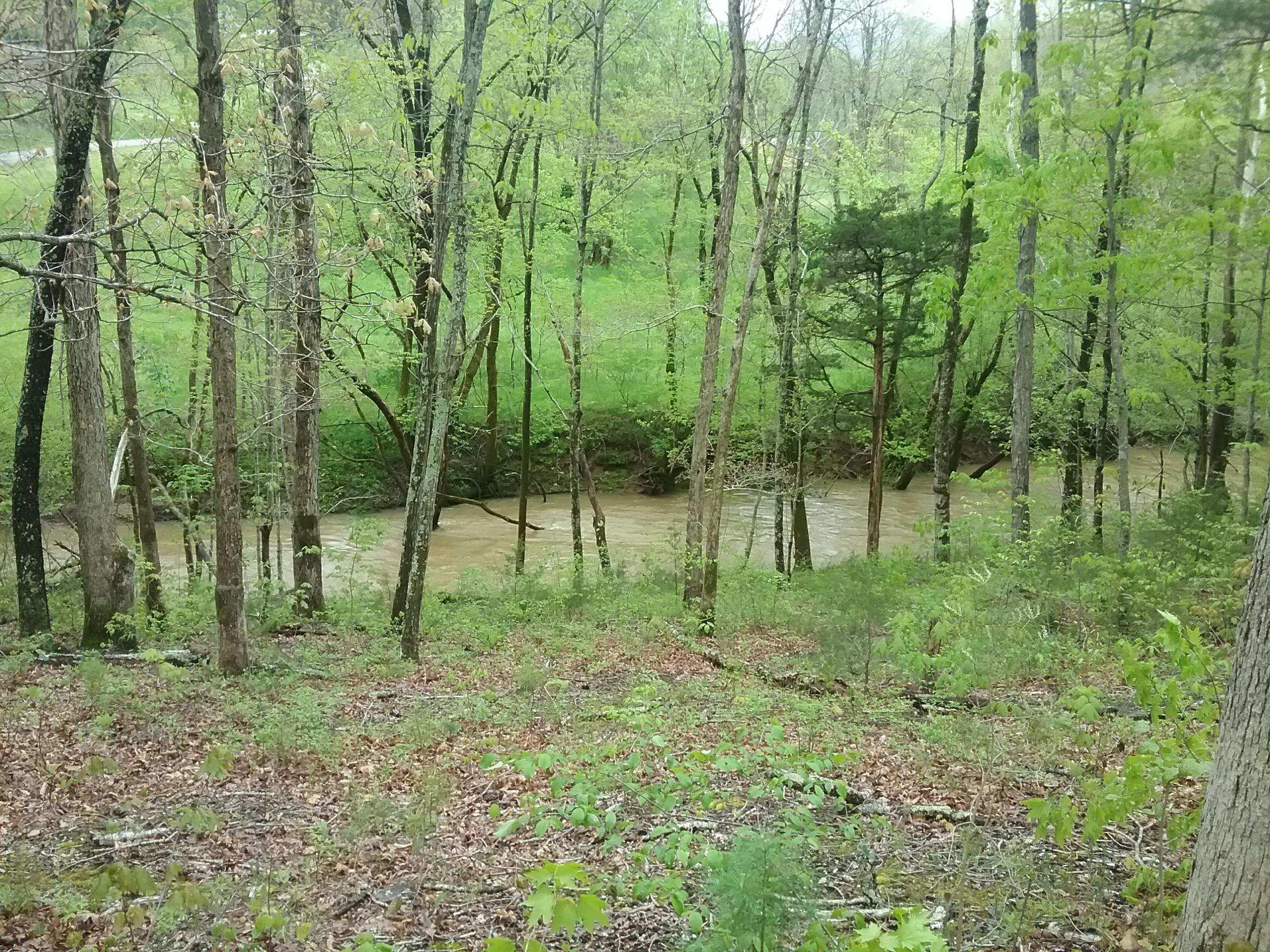 140 Buckboard Road Greeneville, TN 37743 - Photo 30 of 31 IMG-0524