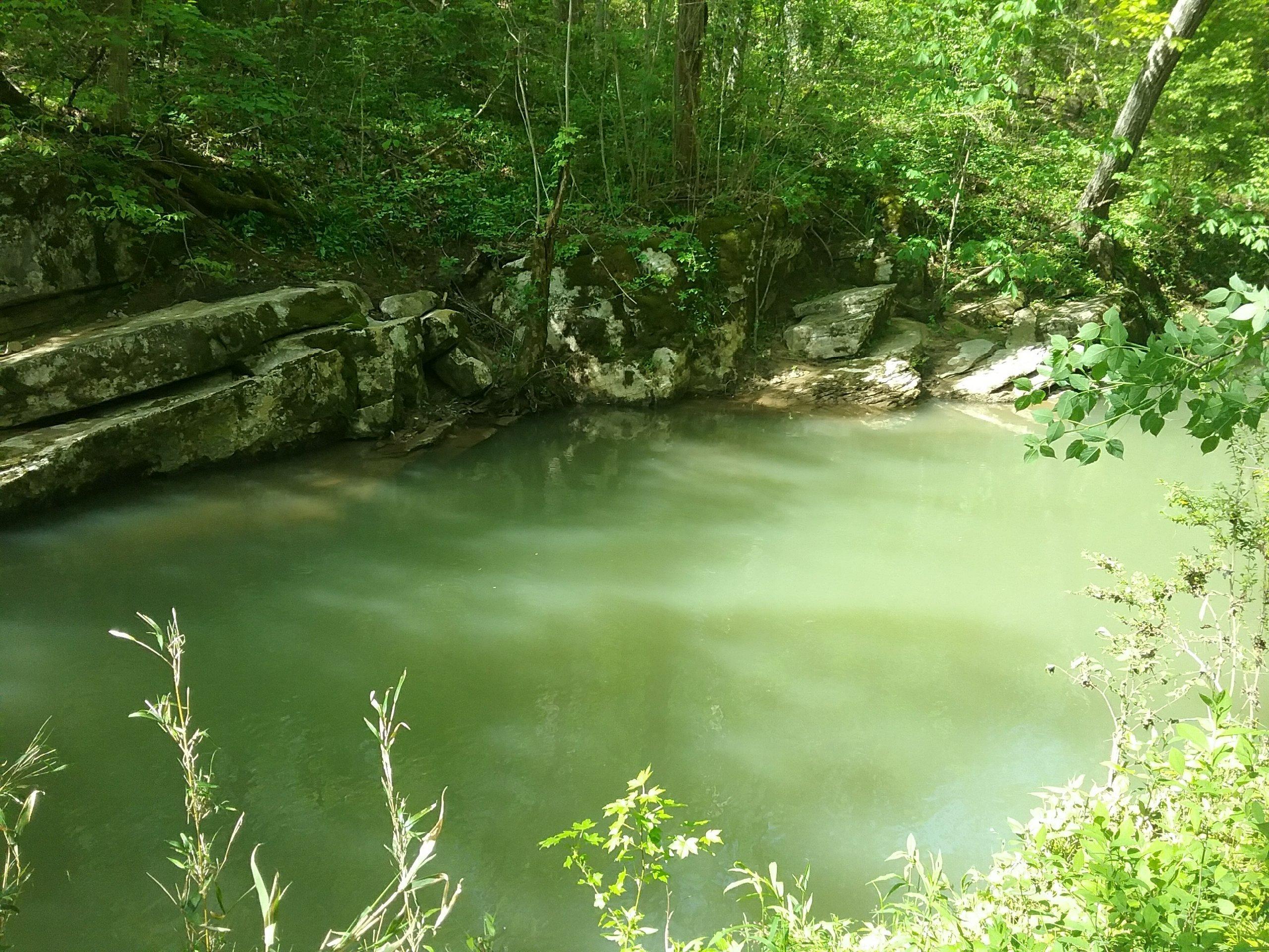 140 Buckboard Road Greeneville, TN 37743 - Photo 31 of 31 IMG-0529