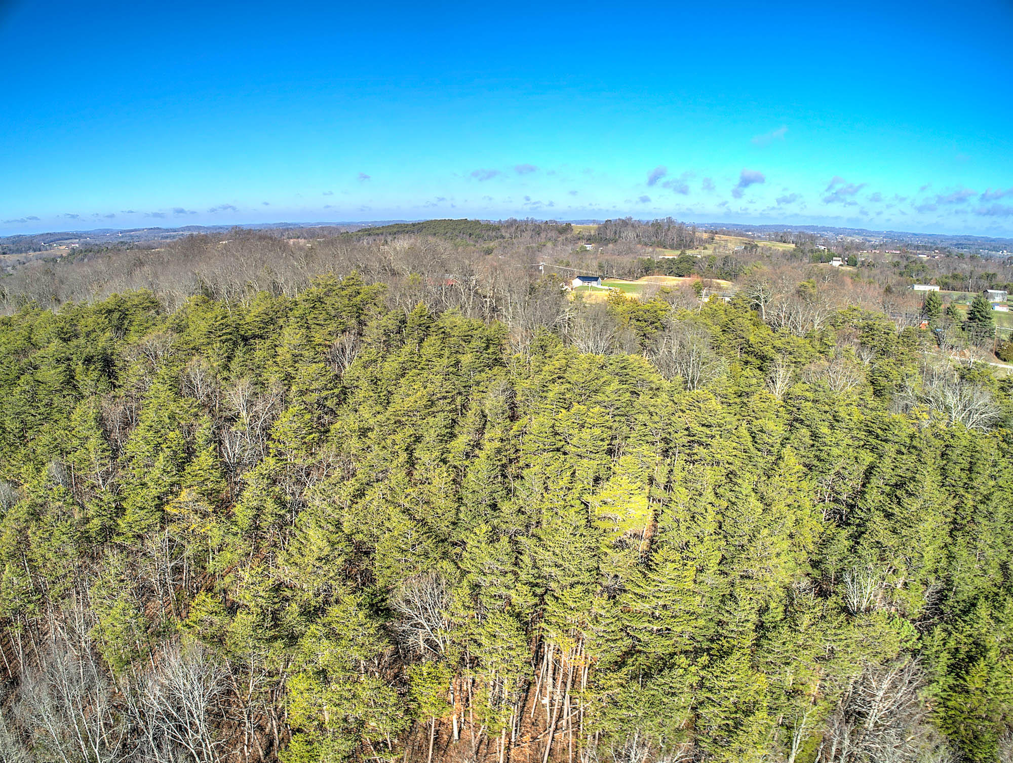 140 Buckboard Road Greeneville, TN 37743 - Photo 6 of 31 140 Buckboard Rd-4