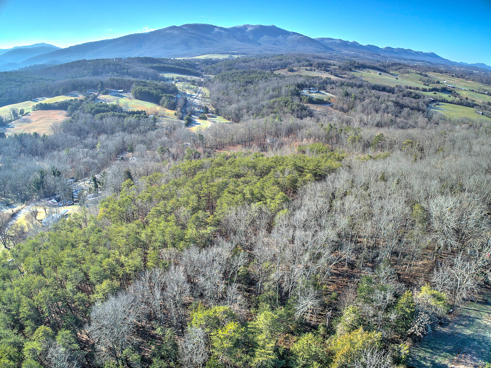 140 Buckboard Road Greeneville, TN 37743 - Photo 9 of 31 140 Buckboard Rd-7