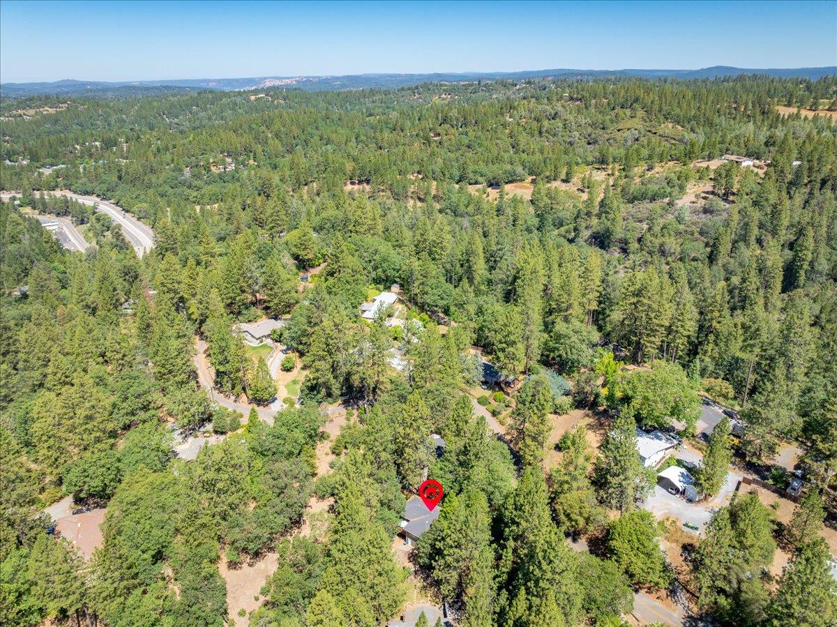 2939 Letitia Avenue Placerville, CA 95667 - Photo 54 of 59