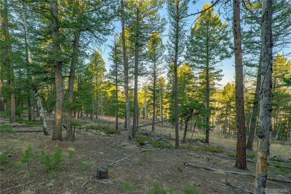 $32,900 | 88 Malmsey Lane, Divide, CO 80814