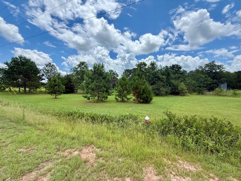 490 Bill Yance Road Webb, AL 36376 - Photo 6 of 10