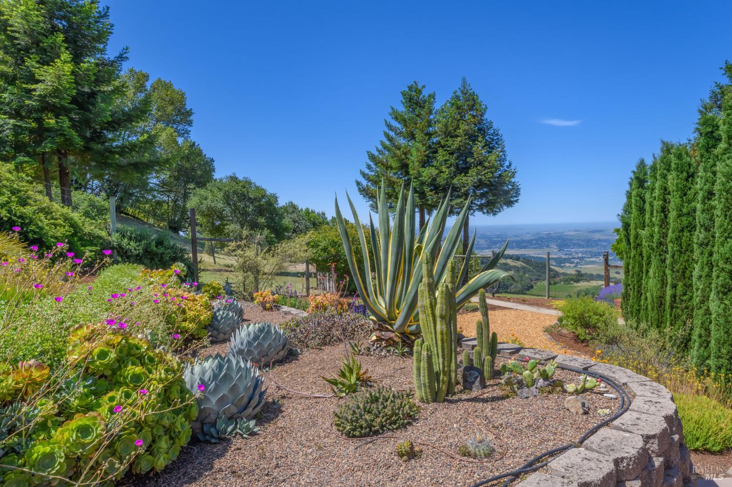 6649 Round Oak Road Penngrove, CA 94951 - Photo 44 of 57