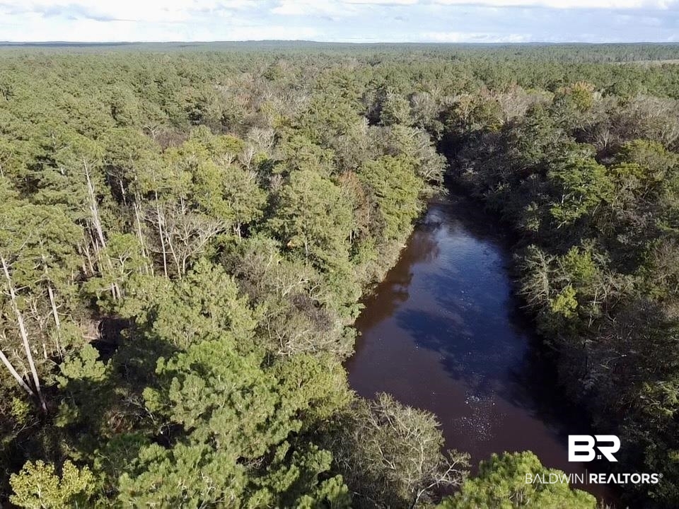 0 Country Road Vinegar Bend, AL 36584 - Photo 5 of 46