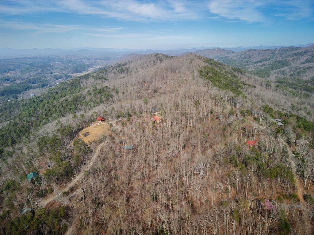 766 Laurel Ridge Drive Blue Ridge, GA 30513 - Photo 35 of 36