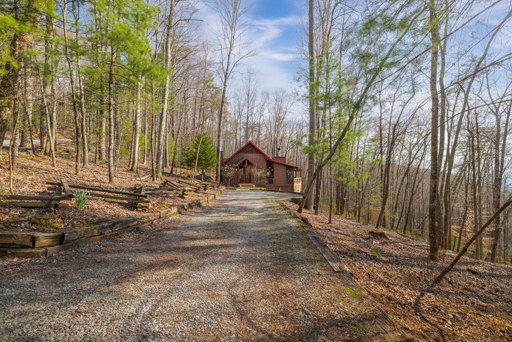 766 Laurel Ridge Drive Blue Ridge, GA 30513 - Photo 4 of 36