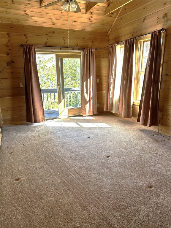 3474 Danilowicz Road Tyrone, NY 14815 - Photo 29 of 43