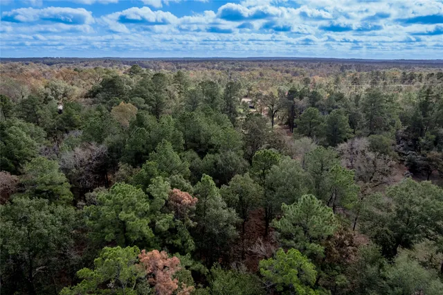 $899,000 | 3192 Highway 19, Huntsville, TX 77320