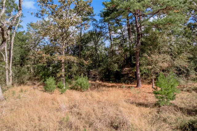 $899,000 | 3192 Highway 19, Huntsville, TX 77320