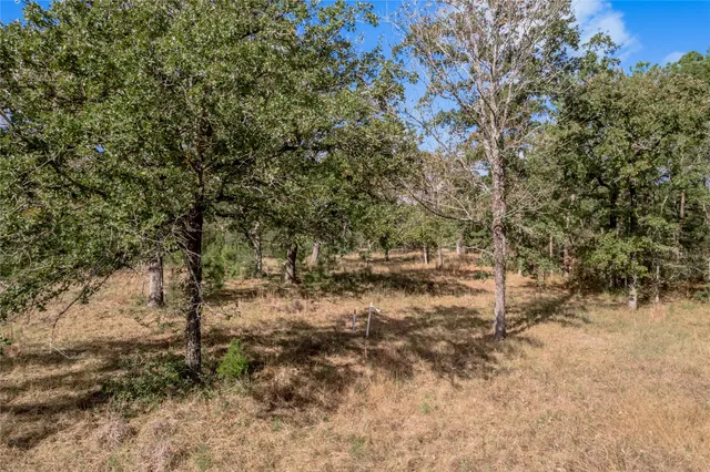 $899,000 | 3192 Highway 19, Huntsville, TX 77320