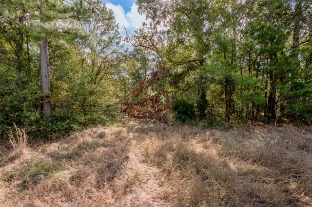 $899,000 | 3192 Highway 19, Huntsville, TX 77320