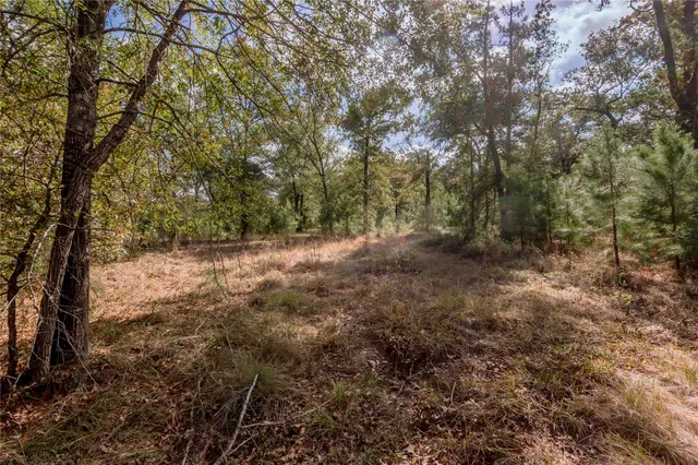 $899,000 | 3192 Highway 19, Huntsville, TX 77320