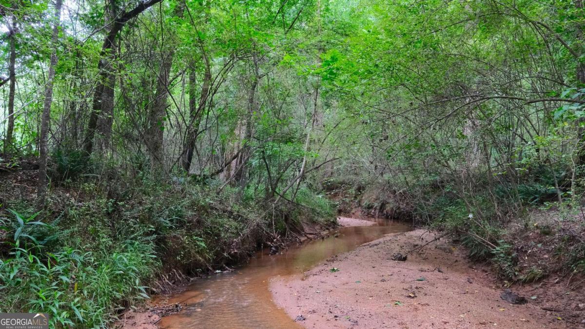 1455 Tappan Spur Road Watkinsville, GA 30677 - Photo 15 of 38