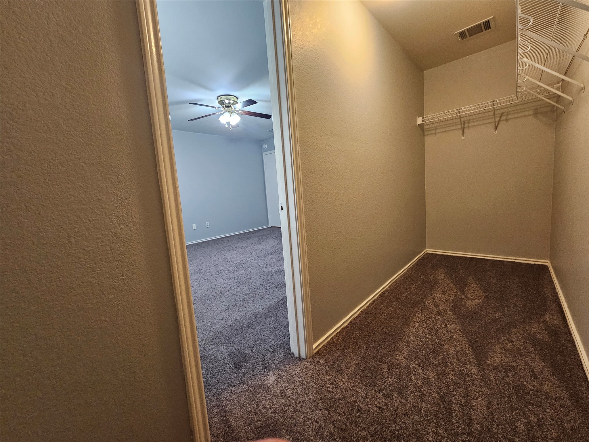 149 Buttercup Way Kyle, TX 78640 - Photo 16 of 31 Gallery Image 16