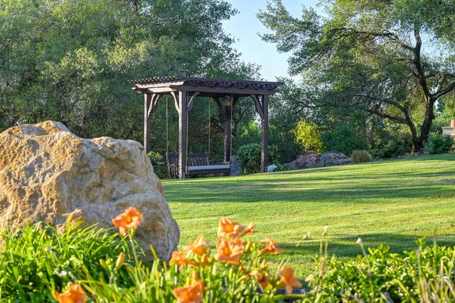 a view of a garden with a swimming pool