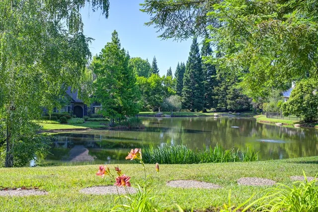 a view of a lake with a yard and a large tree