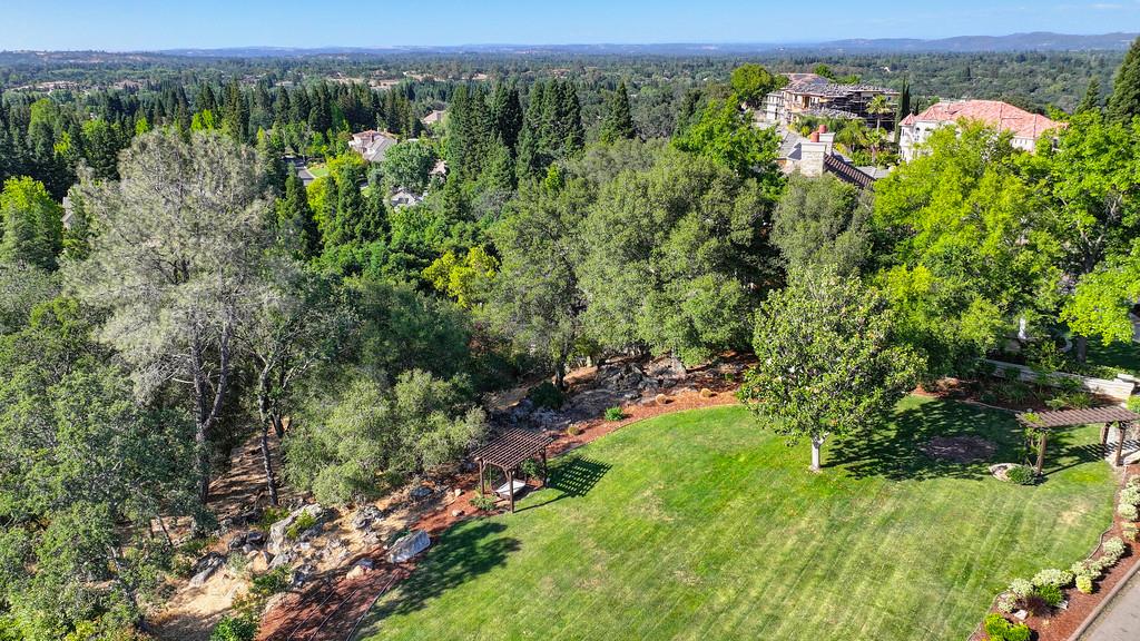 5144 Prior Ridge Granite Bay, CA 95746 - Photo 10 of 11 a view of a lush green forest with trees in the background