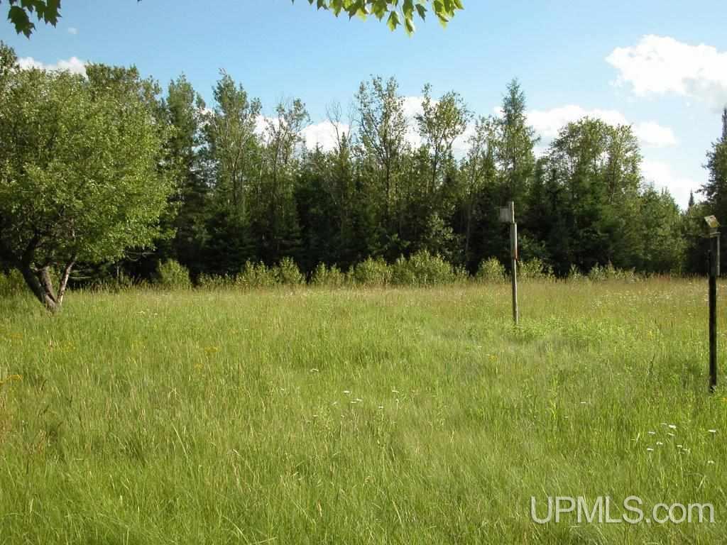 W2911 Oman Road Felch, MI 49831 - Photo 16 of 23 Gallery Image 16