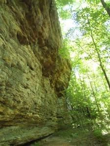 100 Edwards Road Stanton, KY 40380 - Photo 7 of 22 Photo 7