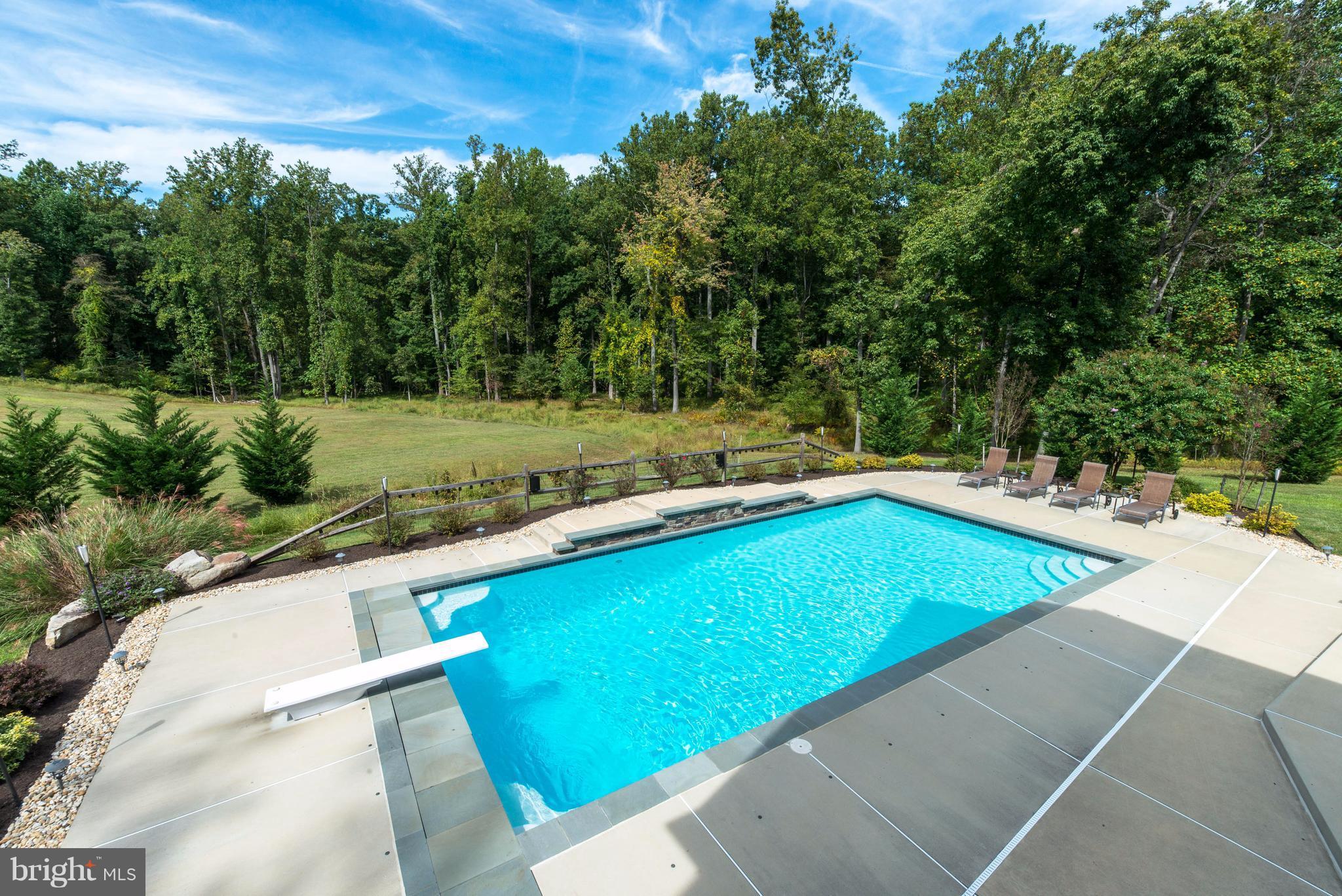 11810 Frederick Road Ellicott City, MD 21042 - Photo 14 of 30 Pool and Yard