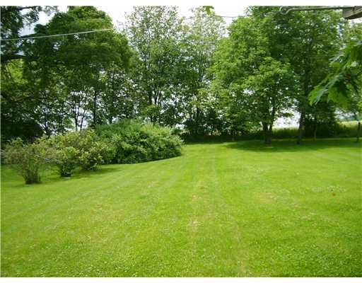 639 Freeport Road Freeport, PA 16229 - Photo 16 of 18 Land/Lot. Blue berry bushes