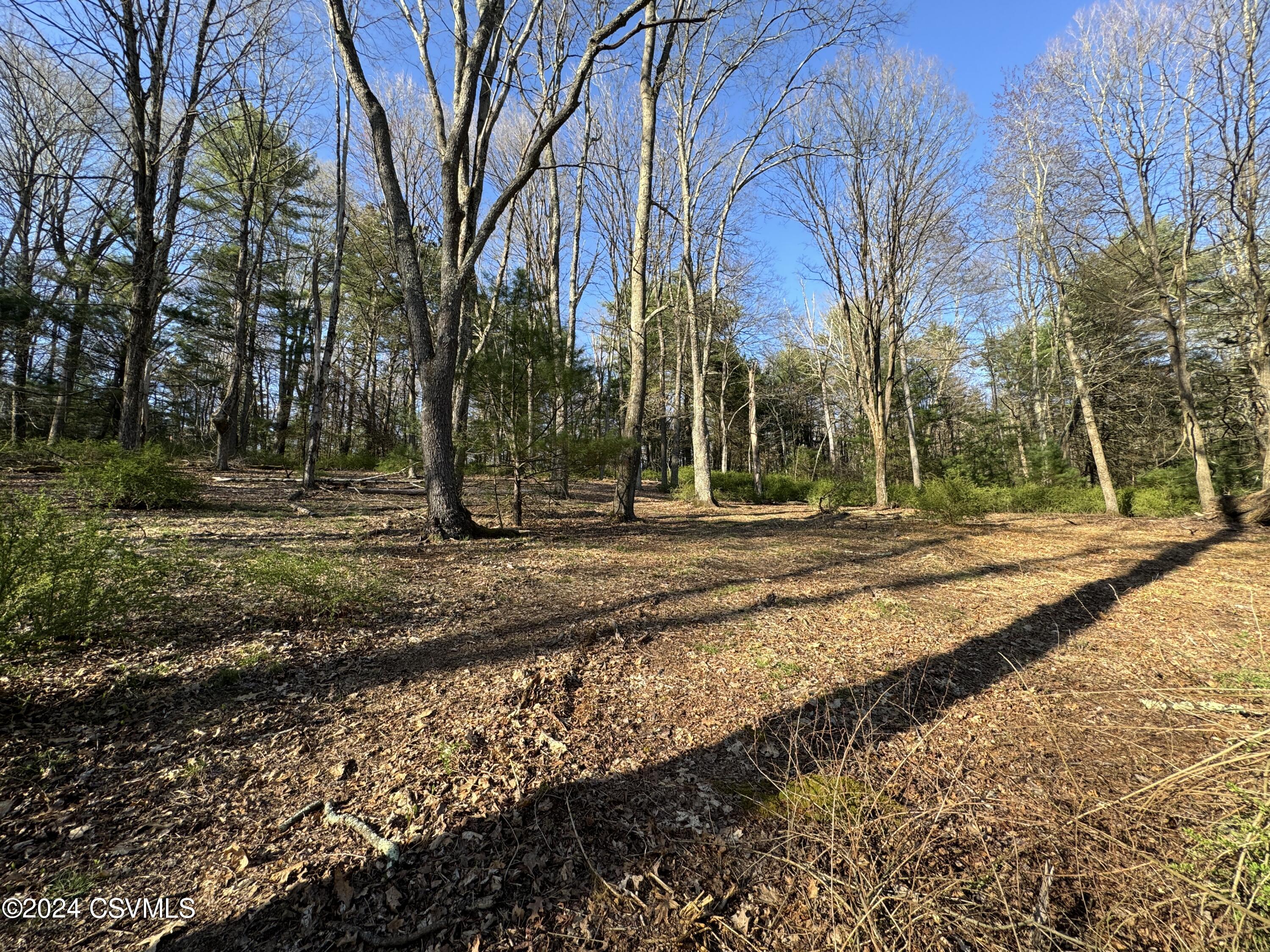 Parks Road Benton, PA 17814 - Photo 3 of 25
