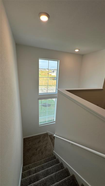 204 Inks Lane Kyle, TX 78640 - Photo 19 of 25 A split-level landing offers views through two windows, naturally illuminating the carpeted stairs.