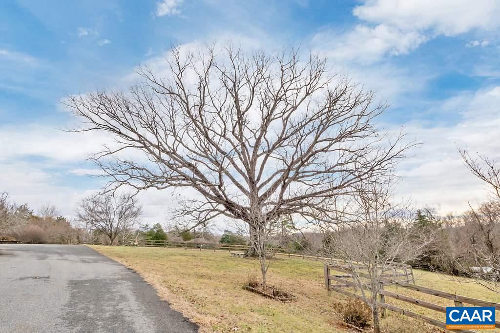 4460 Ivy Road Charlottesville, VA 22903 - Photo 3 of 26 The majesty of this oak is why the owners bought the land and built here! It is estimated to be 250 years old.